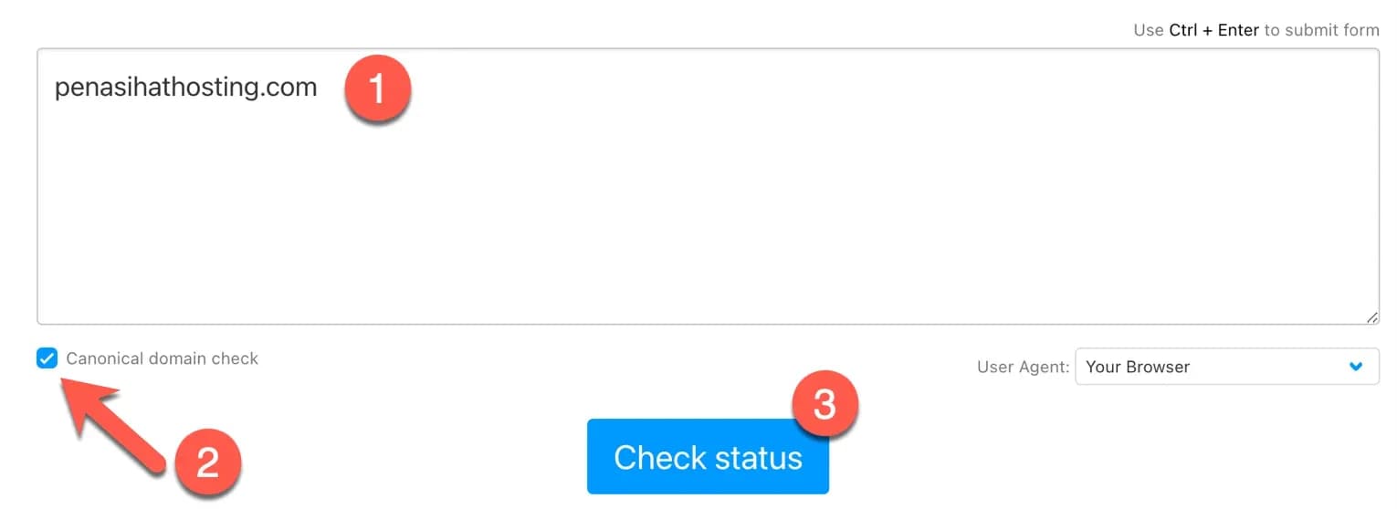 Form pengecekan status HTTP