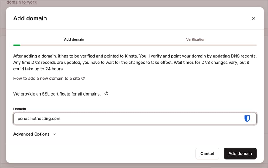 MyKinsta - Add Domain