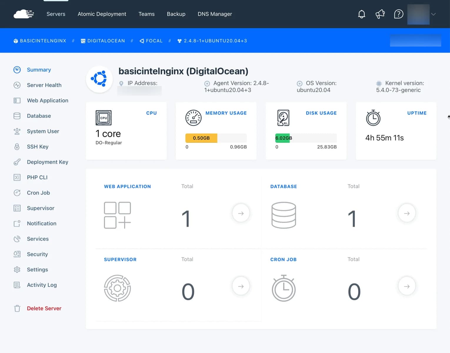 User Interface RunCloud
