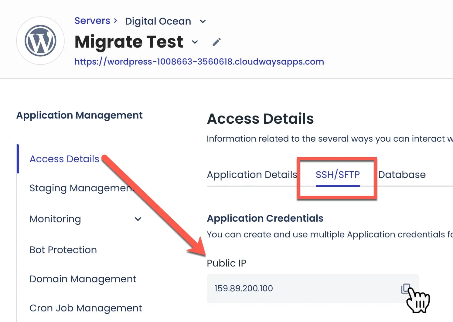 IP Public server Cloudways IP Public server Cloudways