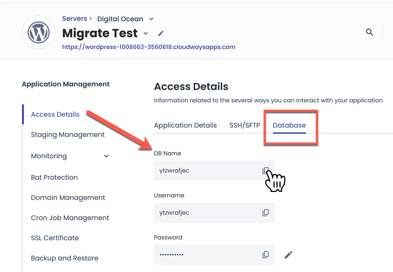 Nama database Cloudways Nama database Cloudways